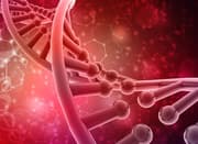 Functional Tests