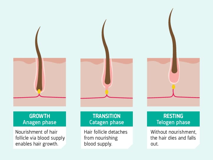 How Minoxidil for hair works?